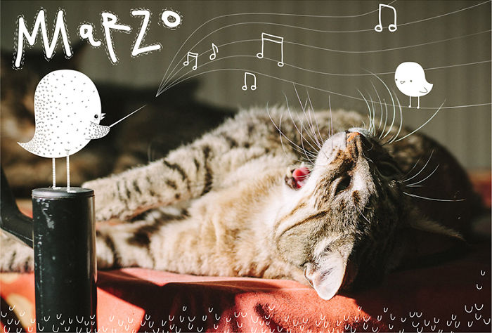 It’s A Cat’s World: I Made A Calendar For Those Who Like Little Furry Things (Except For Fur Coats) It’s A Cat’s World: I Made A Calendar For Those Who Like Little Furry Things (Except For Fur Coats)