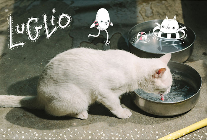 It’s A Cat’s World: I Made A Calendar For Those Who Like Little Furry Things (Except For Fur Coats) It’s A Cat’s World: I Made A Calendar For Those Who Like Little Furry Things (Except For Fur Coats)