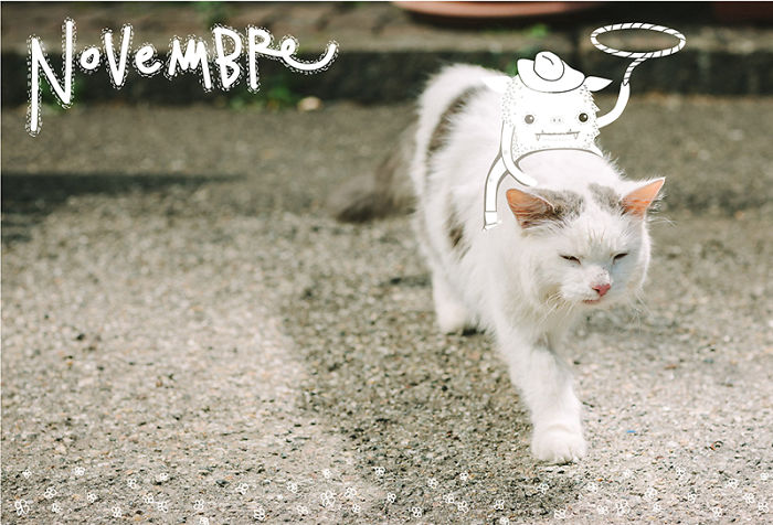 It’s A Cat’s World: I Made A Calendar For Those Who Like Little Furry Things (Except For Fur Coats) It’s A Cat’s World: I Made A Calendar For Those Who Like Little Furry Things (Except For Fur Coats)