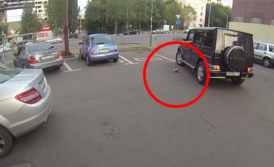 Vigilante Woman On A Motorcycle Chases Down Littering Drivers And Returns Their Trash &#8211; By Force