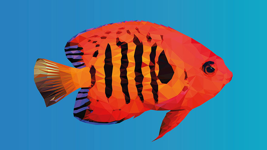 Underwater Life: Low-Poly Illustrations Made By Hand, Line After Line, Poly After Poly