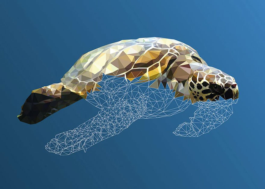 Underwater Life: Low-Poly Illustrations Made By Hand, Line After Line, Poly After Poly
