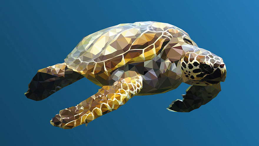 Underwater Life: Low-Poly Illustrations Made By Hand, Line After Line, Poly After Poly