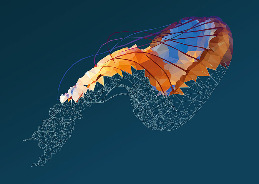 Underwater Life: Low-Poly Illustrations Made By Hand, Line After Line, Poly After Poly