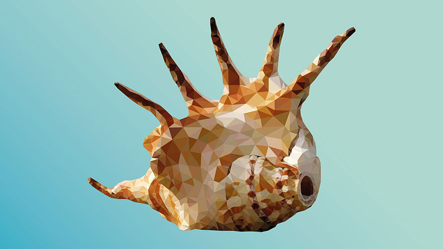 Underwater Life: Low-Poly Illustrations Made By Hand, Line After Line, Poly After Poly