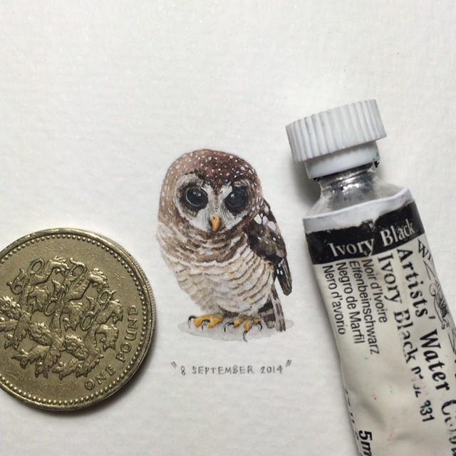 365 Postcards For Ants: Illustrator Creates One Mini Painting Per Day For A Year