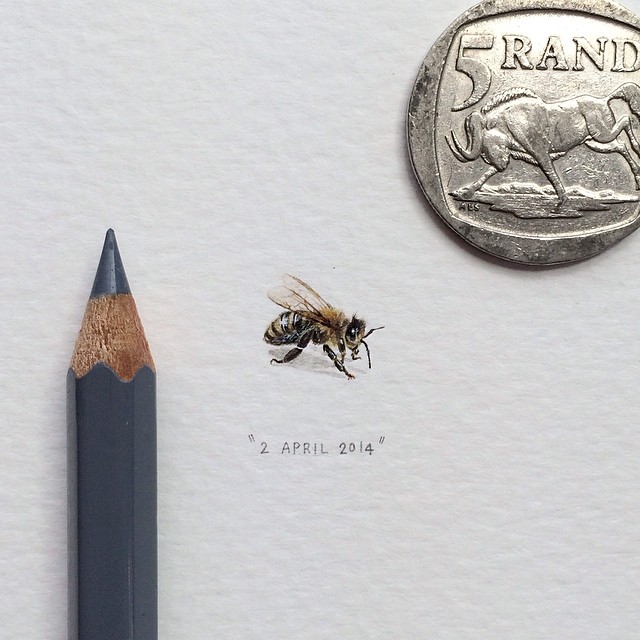 365 Postcards For Ants: Illustrator Creates One Mini Painting Per Day For A Year