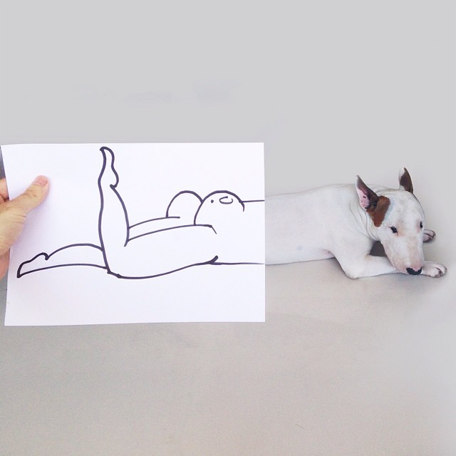 Dog Owner Creates Fun Illustrations With His Bull Terrier Dog Owner Creates Fun Illustrations With His Bull Terrier