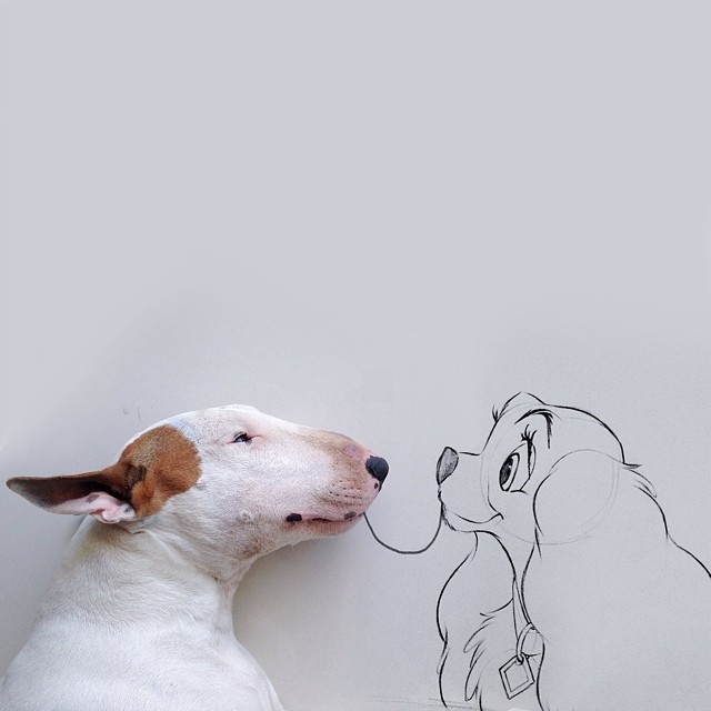 Dog Owner Creates Fun Illustrations With His Bull Terrier Dog Owner Creates Fun Illustrations With His Bull Terrier