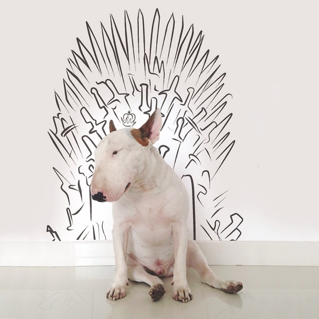 Dog Owner Creates Fun Illustrations With His Bull Terrier Dog Owner Creates Fun Illustrations With His Bull Terrier
