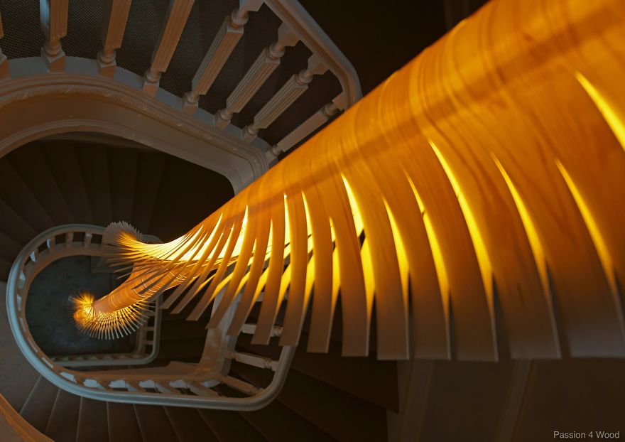 Helix Light In Maple Wood Helix Light In Maple Wood