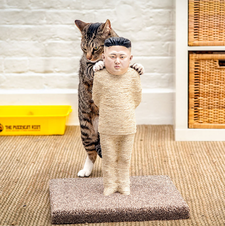Putin And Kim Jong-Un Become Cat Scratching Posts Putin And Kim Jong-Un Become Cat Scratching Posts