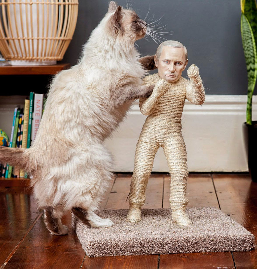 Putin And Kim Jong-Un Become Cat Scratching Posts Putin And Kim Jong-Un Become Cat Scratching Posts