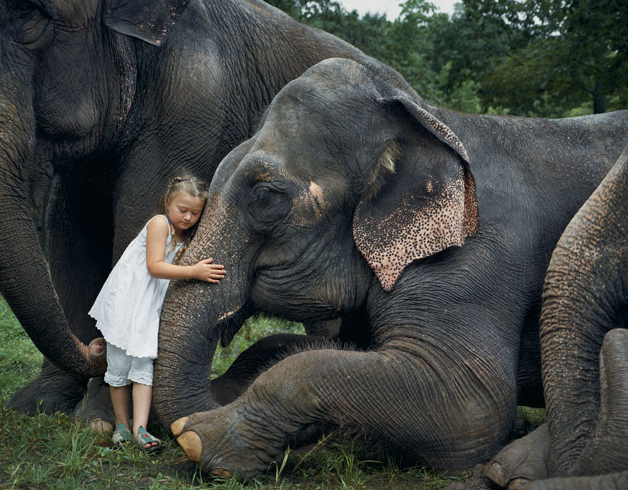Amelia And The Animals: Photographer Mom Captures Daughter&#8217;s Love For Animals