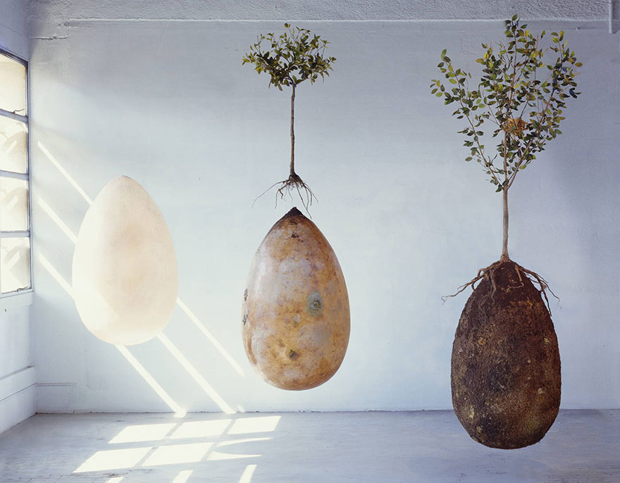 Forget Coffins &#8211; Organic Burial Pods Will Turn Your Loved Ones Into Trees