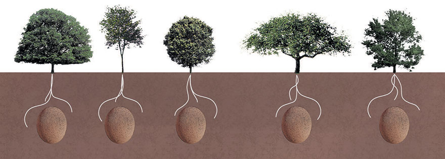 Forget Coffins &#8211; Organic Burial Pods Will Turn Your Loved Ones Into Trees