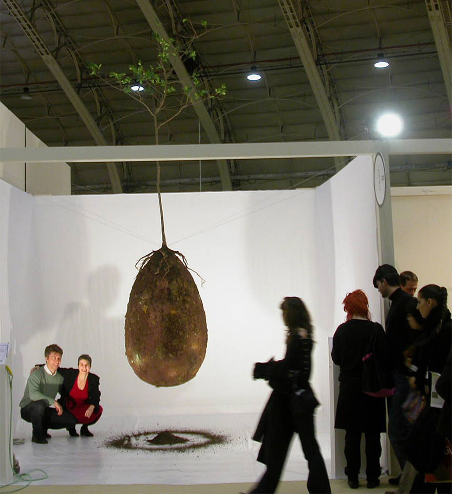 Forget Coffins &#8211; Organic Burial Pods Will Turn Your Loved Ones Into Trees