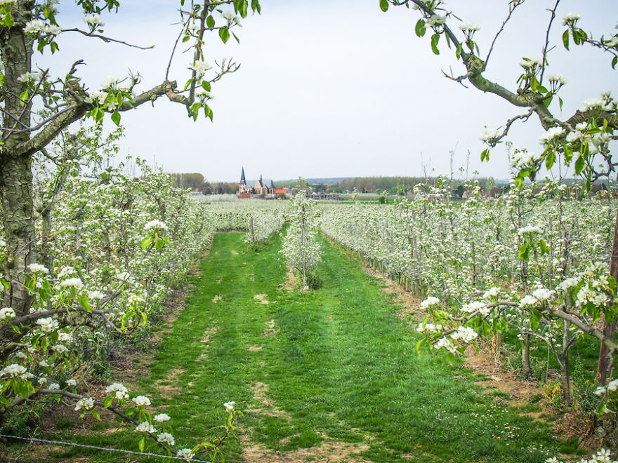 25 Most Beautiful Photos I Took Of My Birth Country Belgium Before Moving To The United States 25 Most Beautiful Photos I Took Of My Birth Country Belgium Before Moving To The United States