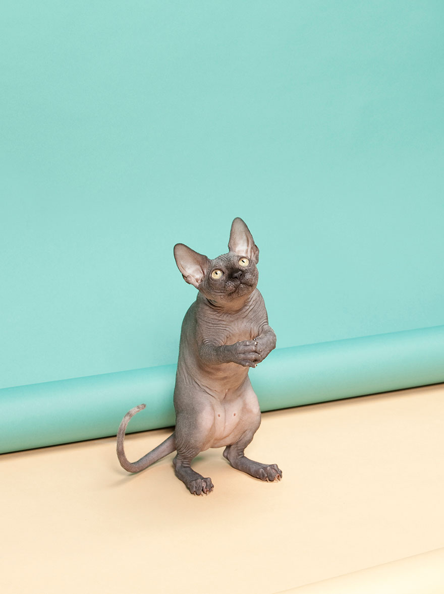 25 Of The Best Photos From The 2015 Sony World Photography Awards Shortlist