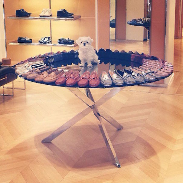 Rich Dogs Of Instagram: The Proof That Pups Live Better Than Humans