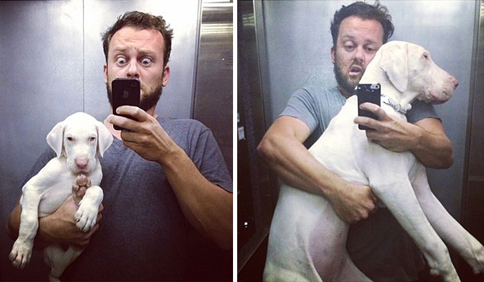 Time-Lapse Of My Rescued Puppy Growing Up On A Treadmill Time-Lapse Of My Rescued Puppy Growing Up On A Treadmill