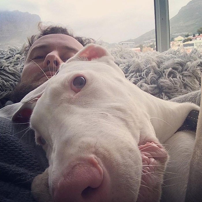 Time-Lapse Of My Rescued Puppy Growing Up On A Treadmill Time-Lapse Of My Rescued Puppy Growing Up On A Treadmill