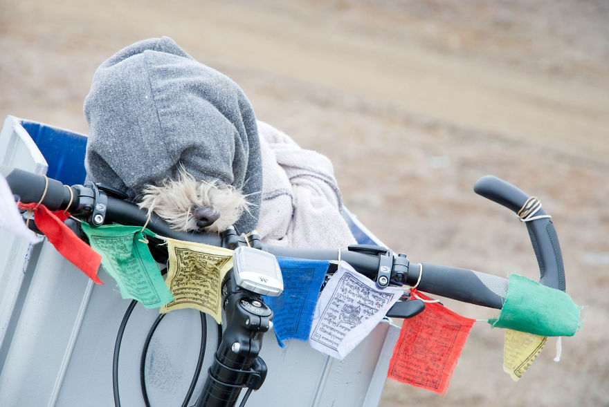 I&#8217;m Cycling 26,000 Km Around The World With My Blind Dog Tulku