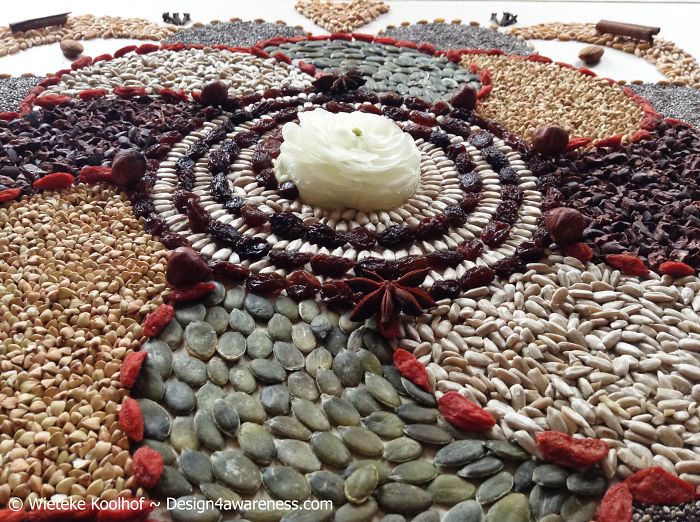 Mandalas Made From Organic Foods Mandalas Made From Organic Foods