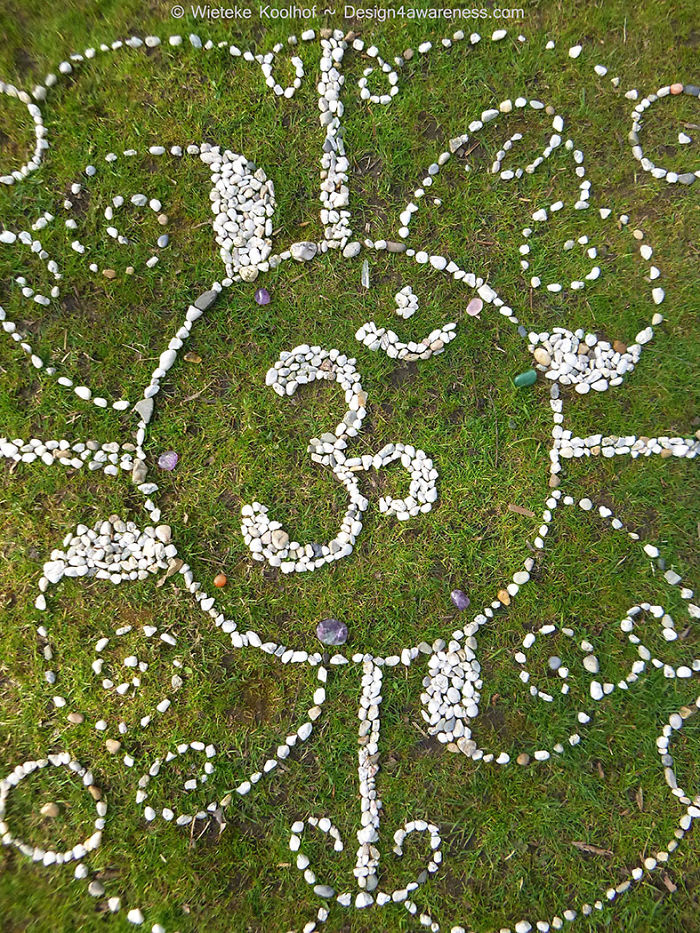 Mandalas Made From Organic Foods Mandalas Made From Organic Foods
