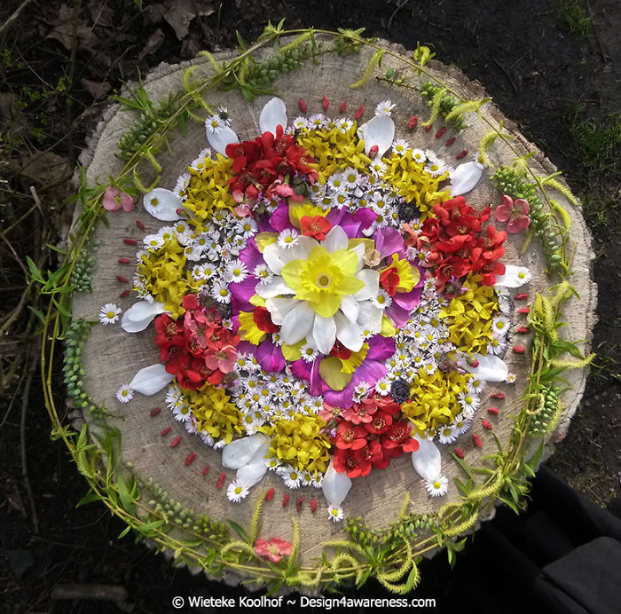 Mandalas Made From Organic Foods Mandalas Made From Organic Foods