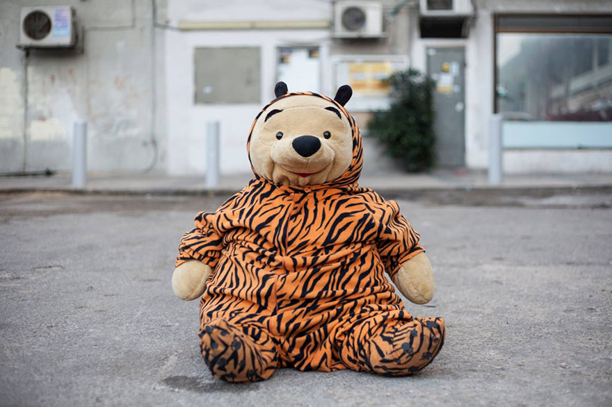 I Talk People Into Posing In A Tiger Suit