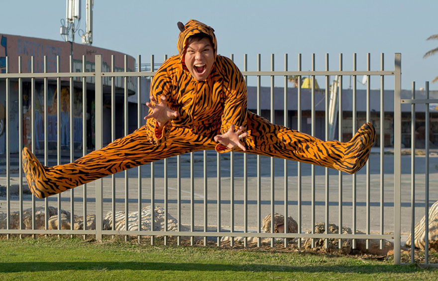 I Talk People Into Posing In A Tiger Suit