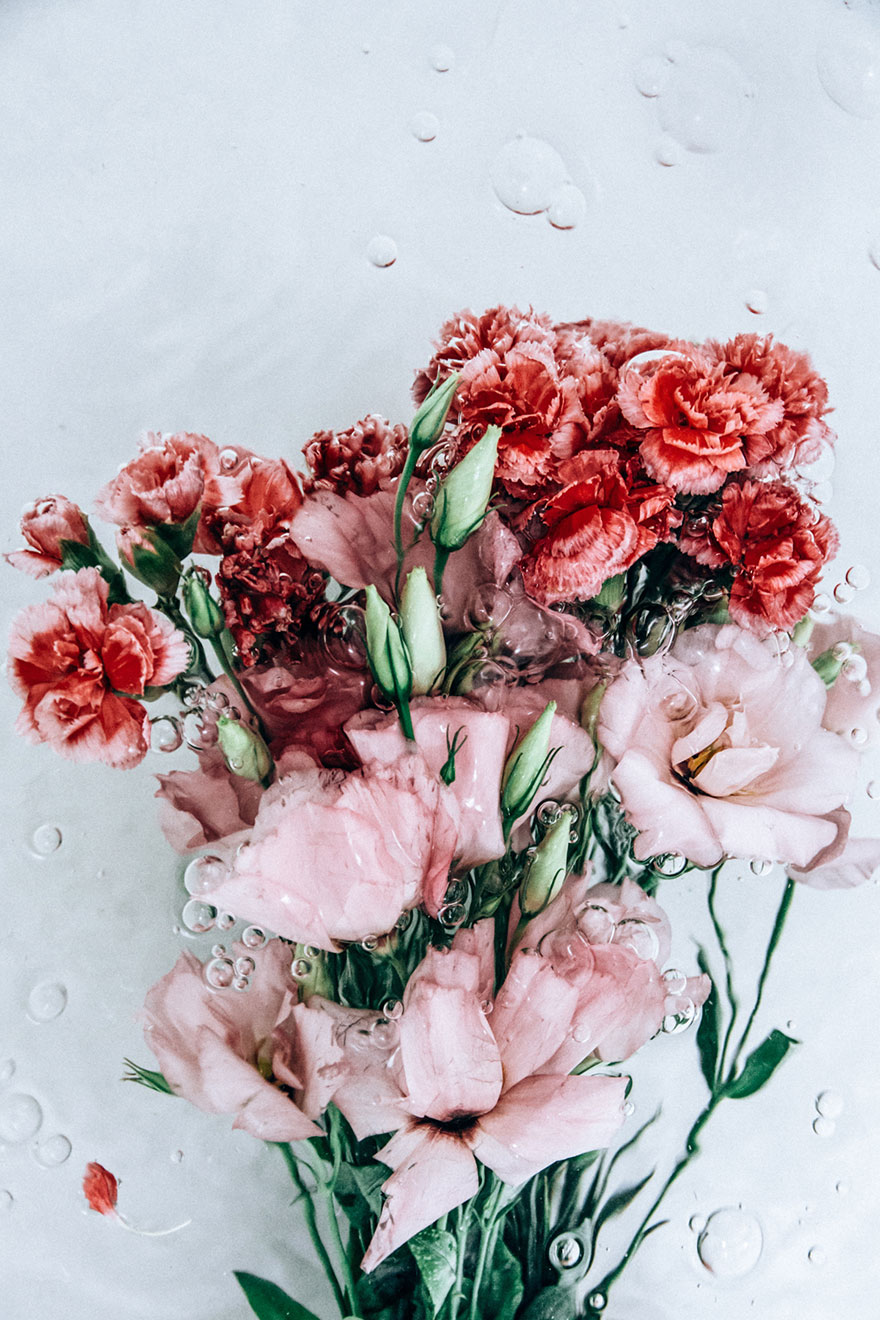 Flotsam: Flower Portraits Captured Underwater