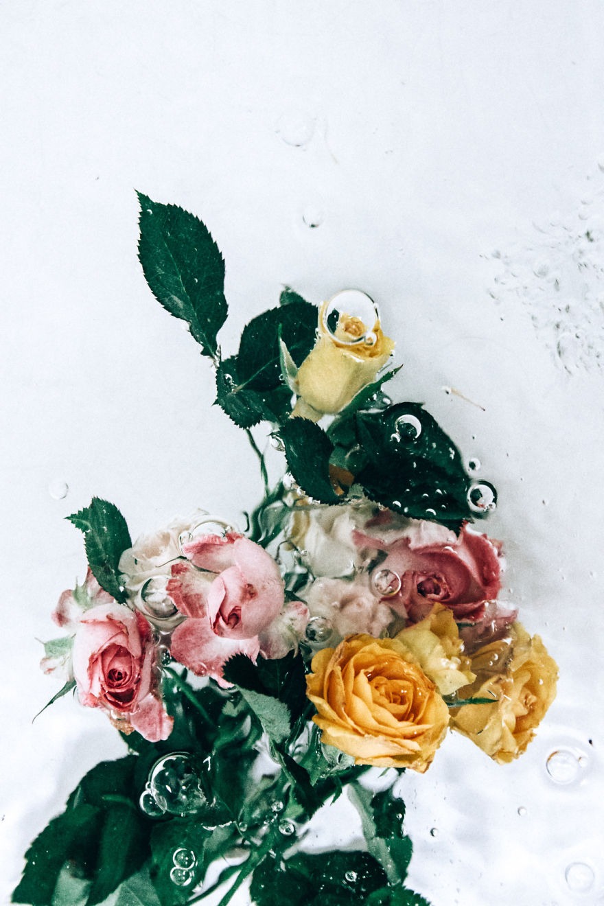 Flotsam: Flower Portraits Captured Underwater