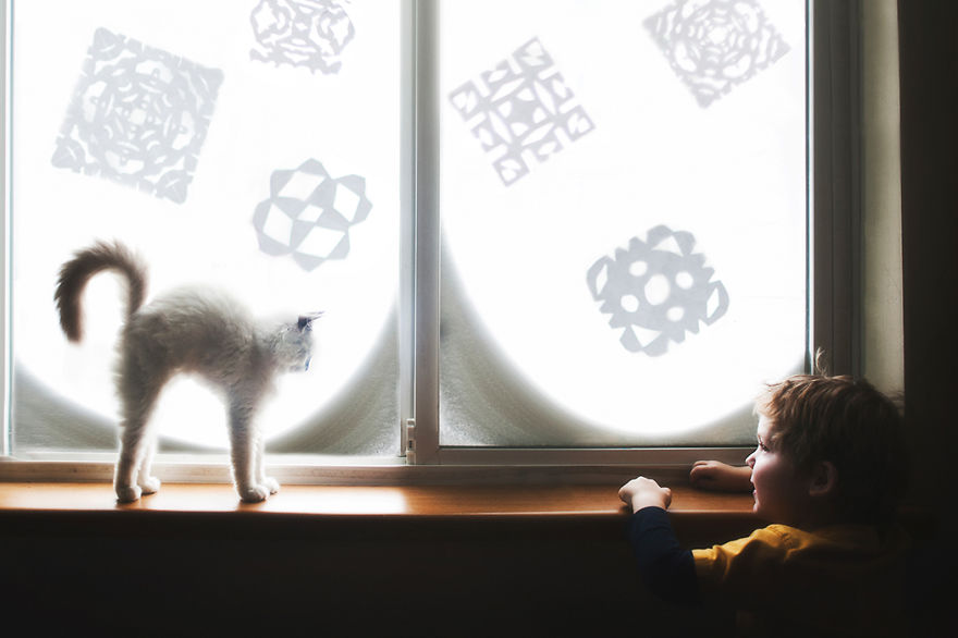 A Boy And His Cats: I Document The Bond Between My Boys And Their Cats A Boy And His Cats: I Document The Bond Between My Boys And Their Cats