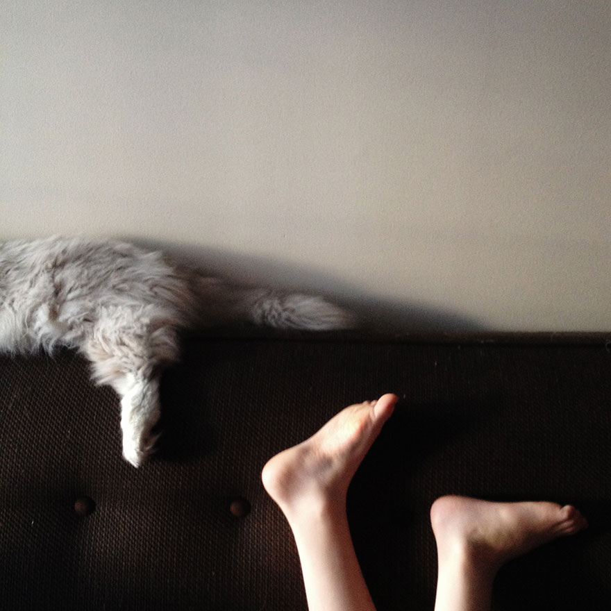 A Boy And His Cats: I Document The Bond Between My Boys And Their Cats A Boy And His Cats: I Document The Bond Between My Boys And Their Cats