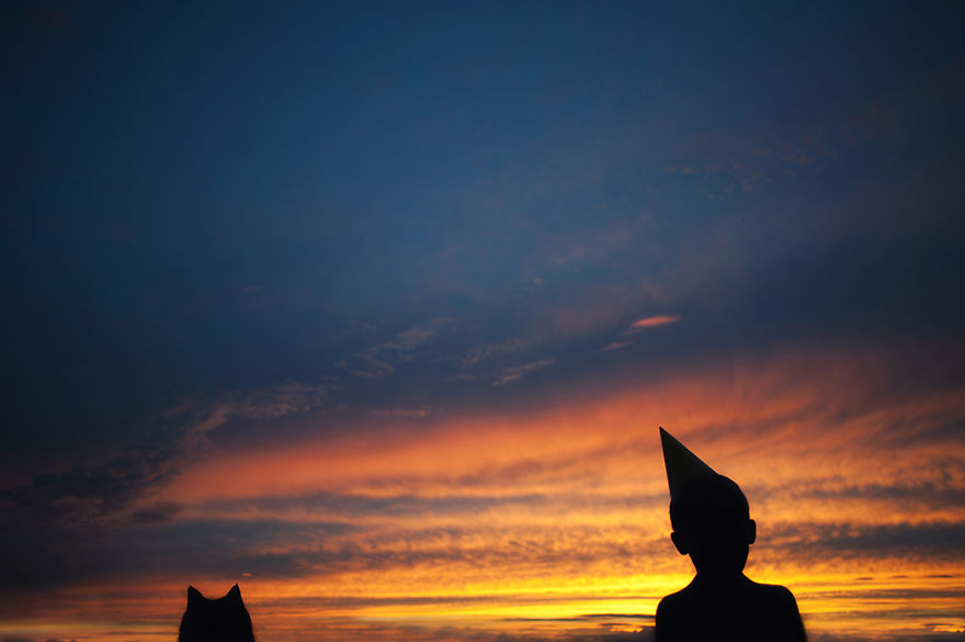 A Boy And His Cats: I Document The Bond Between My Boys And Their Cats A Boy And His Cats: I Document The Bond Between My Boys And Their Cats