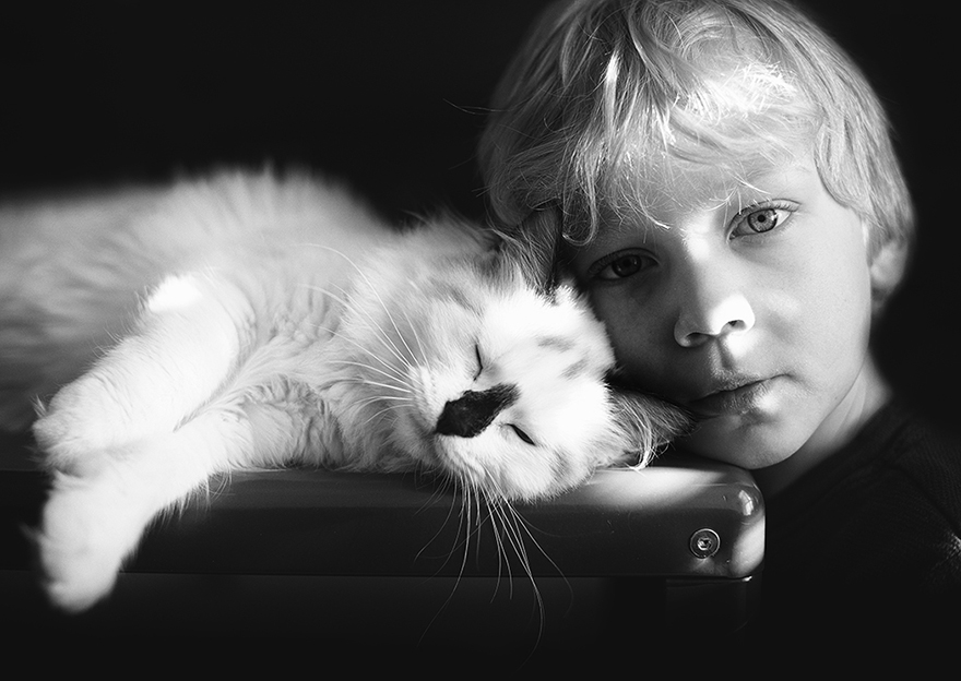 A Boy And His Cats: I Document The Bond Between My Boys And Their Cats A Boy And His Cats: I Document The Bond Between My Boys And Their Cats