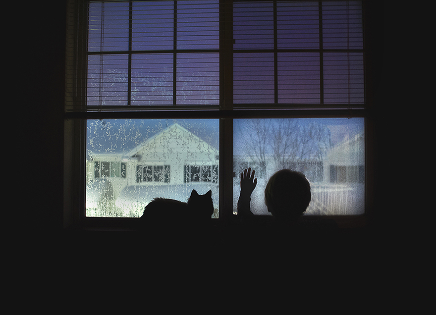 A Boy And His Cats: I Document The Bond Between My Boys And Their Cats A Boy And His Cats: I Document The Bond Between My Boys And Their Cats