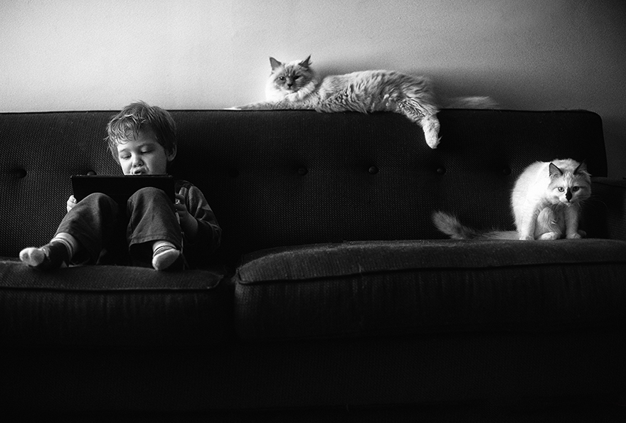 A Boy And His Cats: I Document The Bond Between My Boys And Their Cats A Boy And His Cats: I Document The Bond Between My Boys And Their Cats