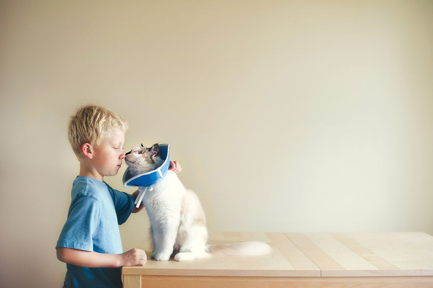 A Boy And His Cats: I Document The Bond Between My Boys And Their Cats A Boy And His Cats: I Document The Bond Between My Boys And Their Cats