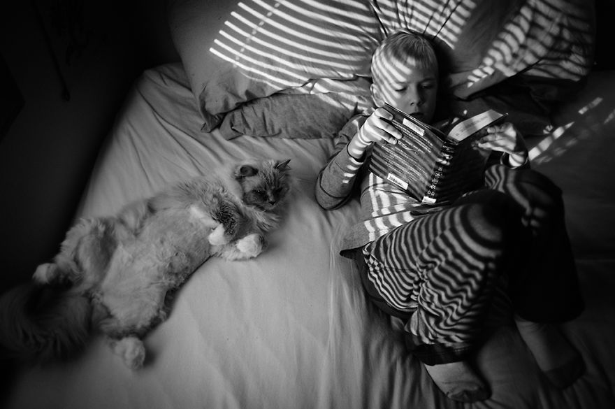 A Boy And His Cats: I Document The Bond Between My Boys And Their Cats A Boy And His Cats: I Document The Bond Between My Boys And Their Cats
