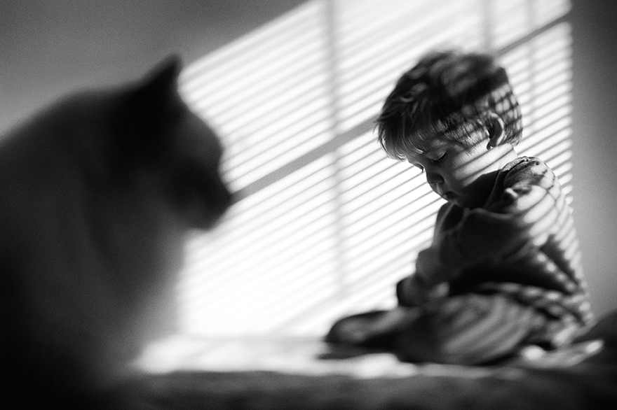A Boy And His Cats: I Document The Bond Between My Boys And Their Cats A Boy And His Cats: I Document The Bond Between My Boys And Their Cats