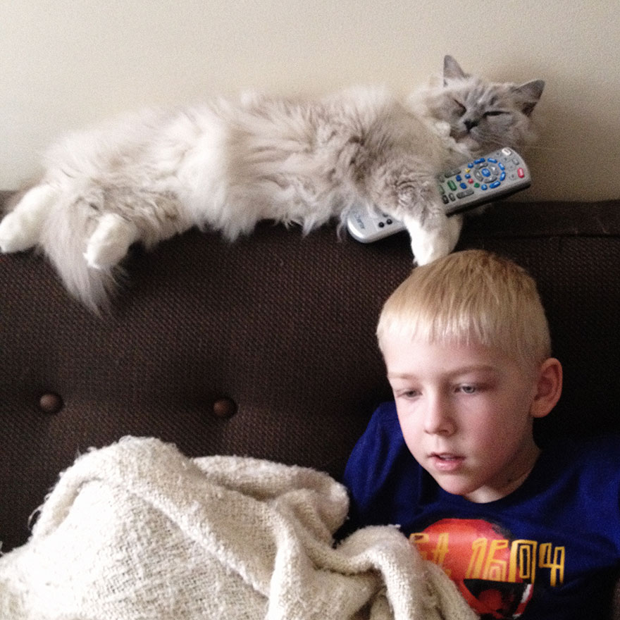 A Boy And His Cats: I Document The Bond Between My Boys And Their Cats A Boy And His Cats: I Document The Bond Between My Boys And Their Cats
