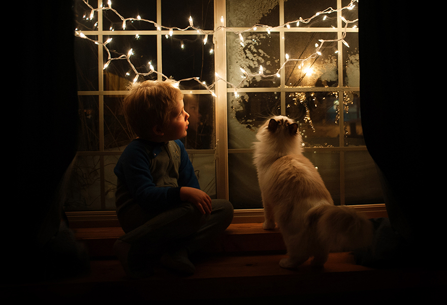 A Boy And His Cats: I Document The Bond Between My Boys And Their Cats A Boy And His Cats: I Document The Bond Between My Boys And Their Cats