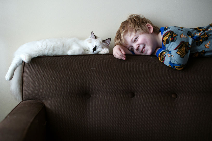A Boy And His Cats: I Document The Bond Between My Boys And Their Cats A Boy And His Cats: I Document The Bond Between My Boys And Their Cats