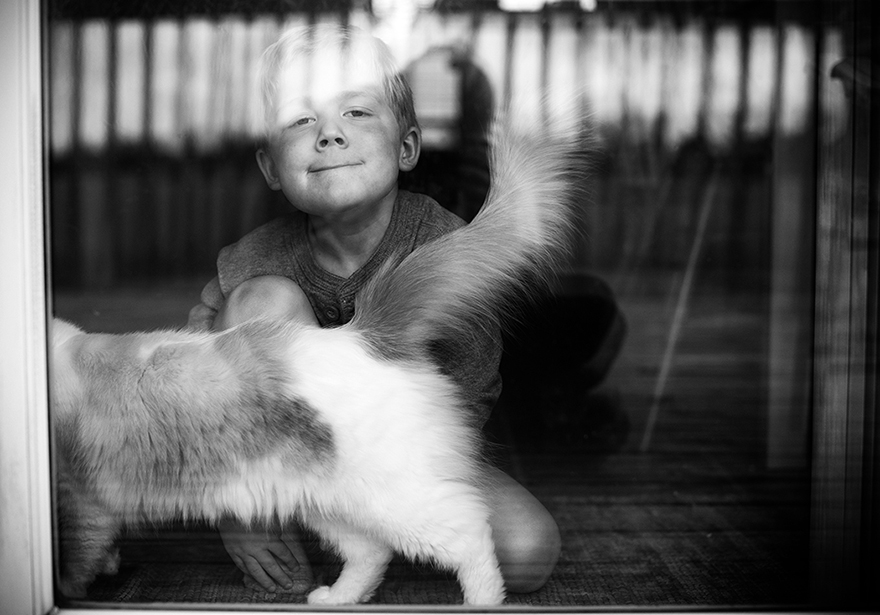 A Boy And His Cats: I Document The Bond Between My Boys And Their Cats A Boy And His Cats: I Document The Bond Between My Boys And Their Cats
