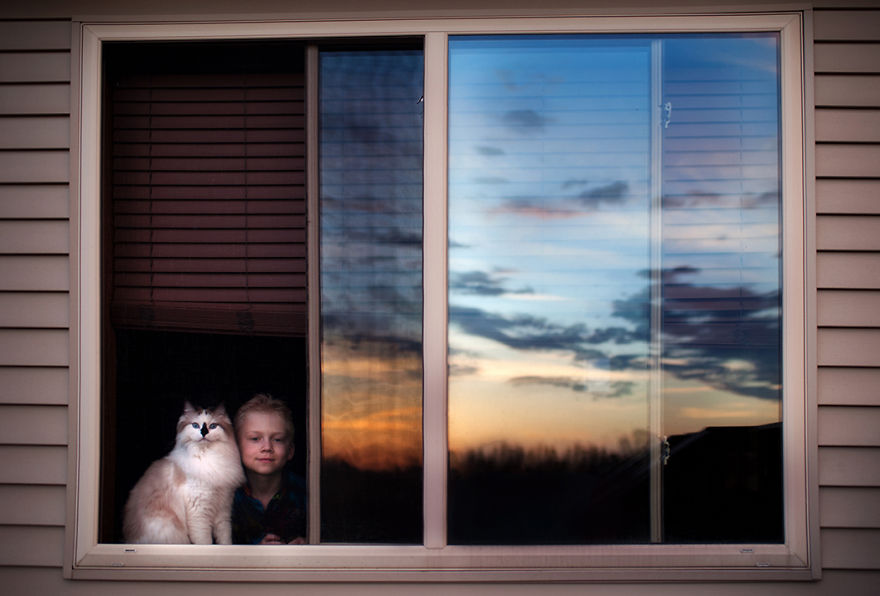 A Boy And His Cats: I Document The Bond Between My Boys And Their Cats A Boy And His Cats: I Document The Bond Between My Boys And Their Cats