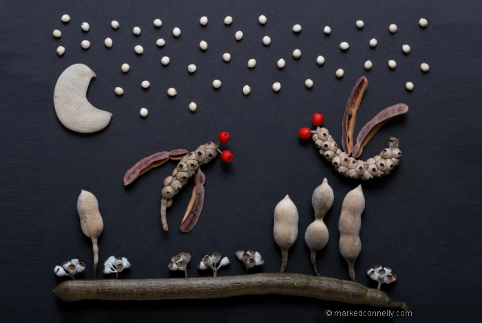 I Use Seeds to Create Faces, Insects, Flags And Abstract Pictures