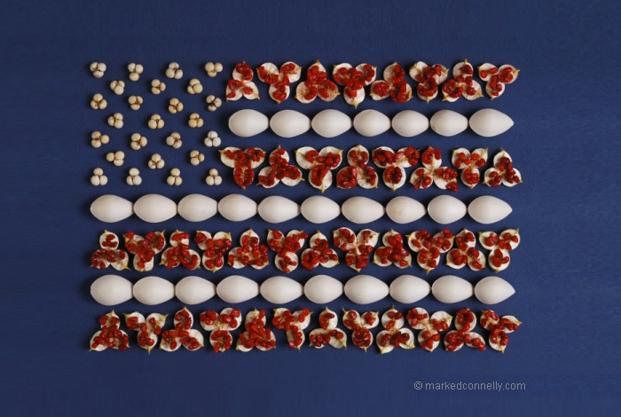 I Use Seeds to Create Faces, Insects, Flags And Abstract Pictures